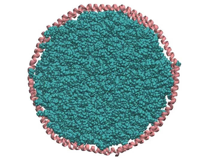 Open access visualization of Protein Structure, 3D Plot, Chemical Structure, Nanodiscs, Lipids