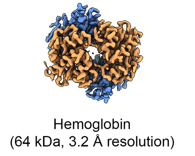 Open access visualization of Protein Structure, Hemoglobin, Cryo-EM