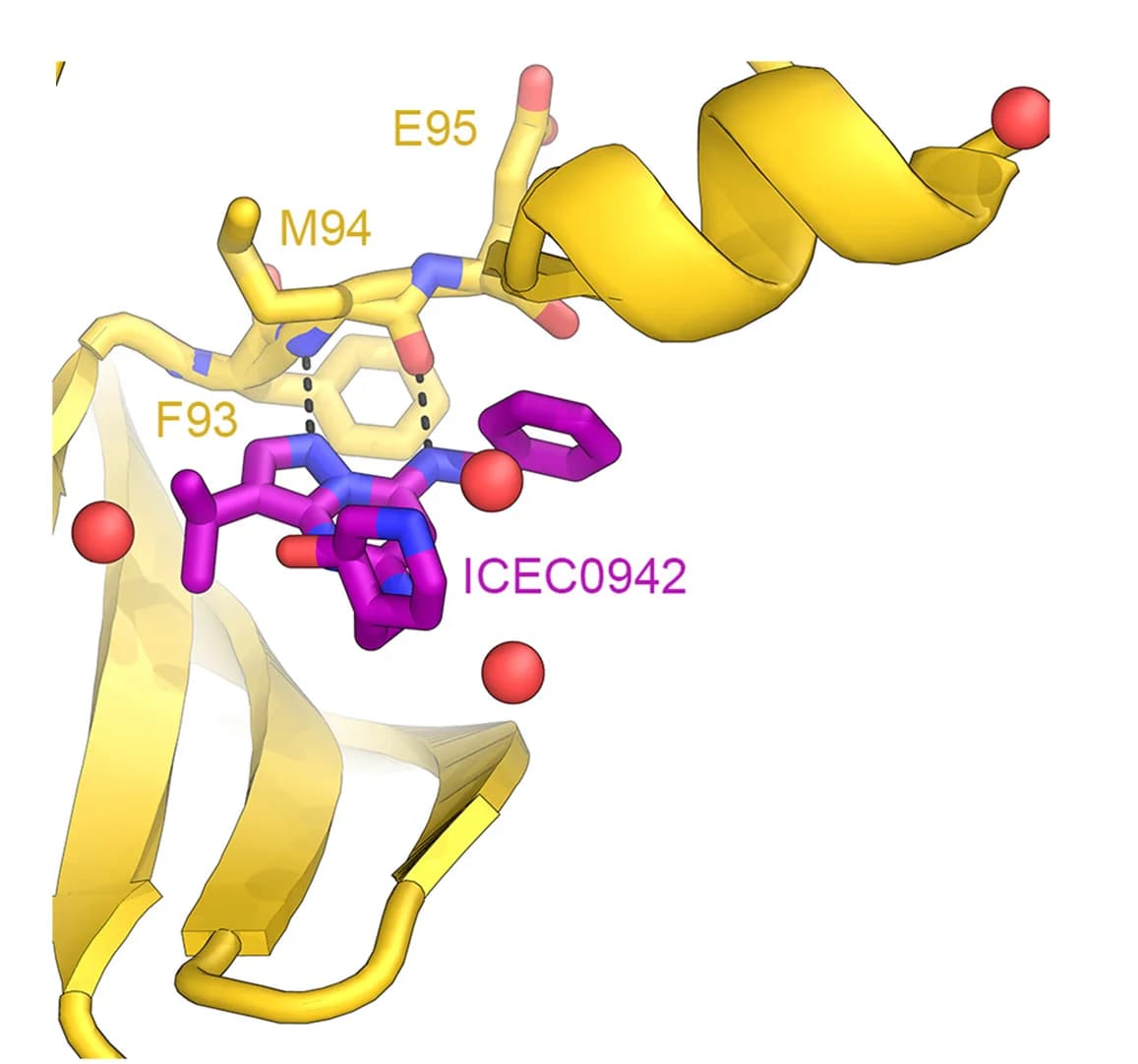 Open access visualization of Protein Structure, Chemical Structure, CAK-ICEC0942, Pyrazolopyrimidines, Hinge Contacts