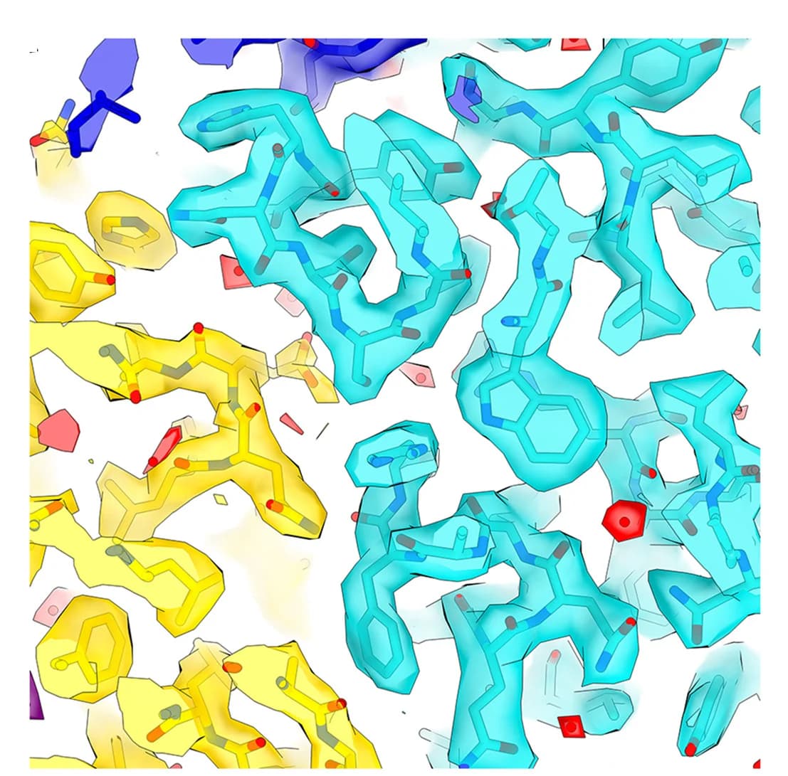 Open access visualization of Protein Structure, Chemical Structure, CDK7, Cyclin H, Water Molecules