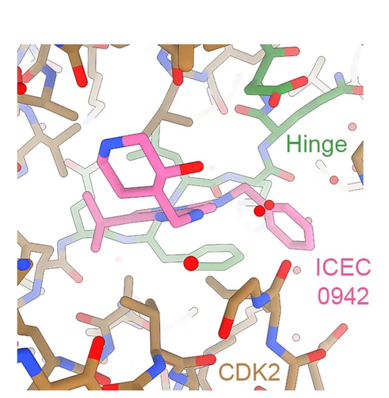 Open access visualization of Protein Structure, Chemical Structure, ICEC0942, CDK2, Active Site
