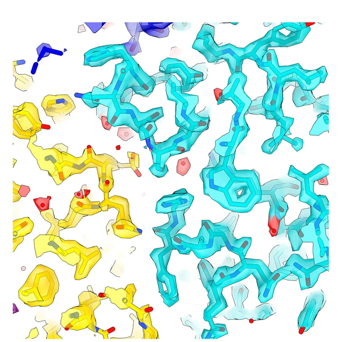 Open access visualization of Protein Structure, Chemical Structure, CDK7, Cyclin H, Water Molecules