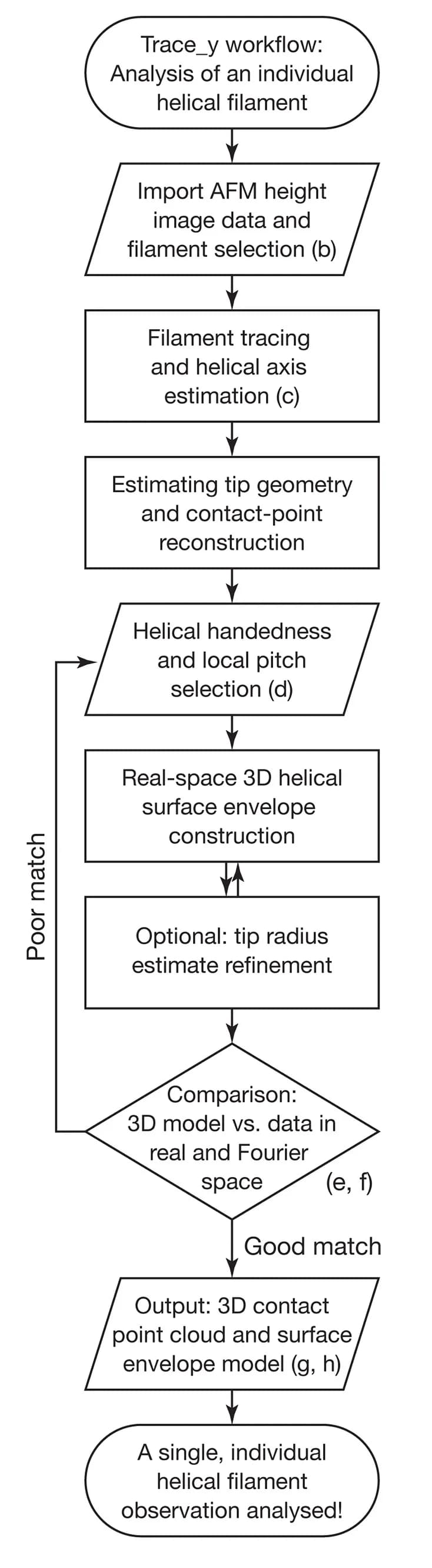 Open access visualization of Workflow, Flowchart, Helical Filament, Structure Analysis