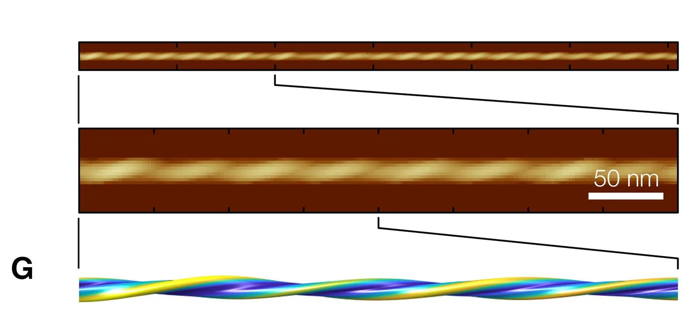 Open access visualization of Microscopy, 3D Plot, AFM, Topographic Image, Simulated Image