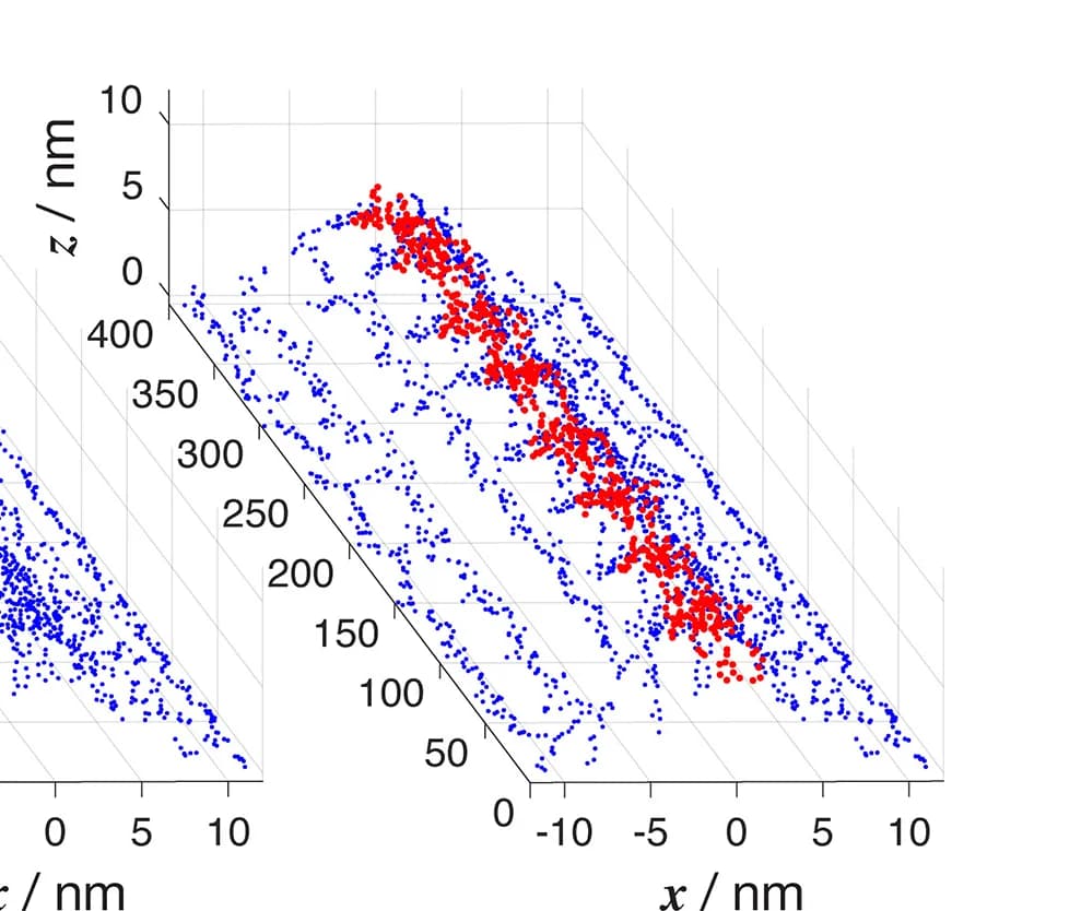 Open access visualization of Scatter Plot, Contact Points, Helical Filament, 3D Surface, Envelop