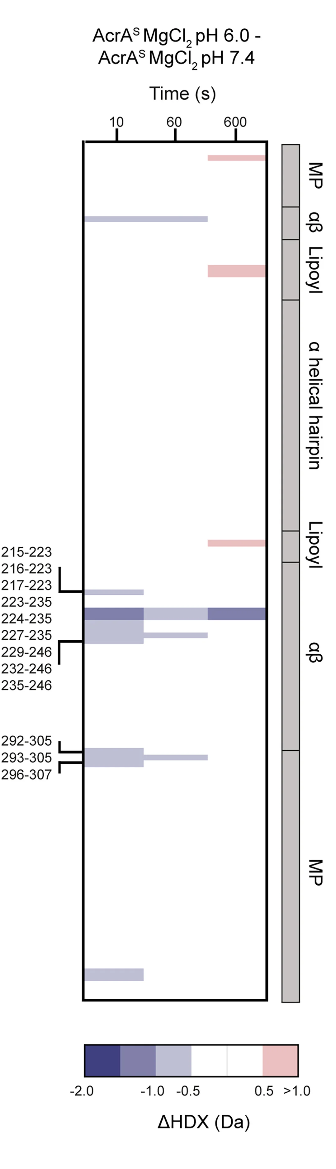 Open access visualization of Bar Plot, Heatmap, Differential HDX, Chiclet Plot, AcrA