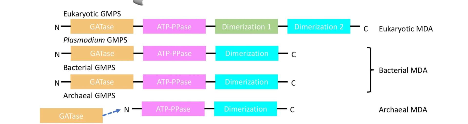 Open access visualization of Workflow, Illustration, 2D Representation, Multidomain Architectures, GMPS