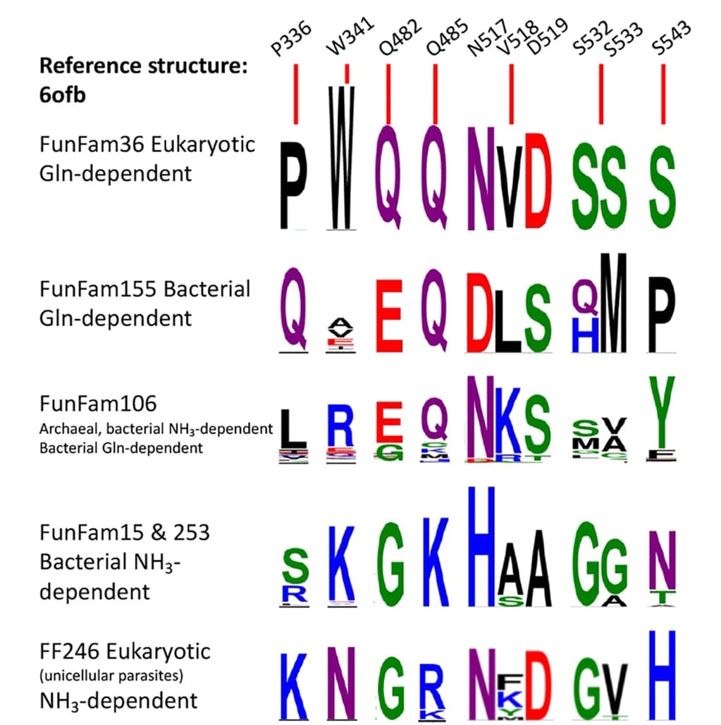 Open access visualization of Illustration, GroupSim, SDPs, Conservation Patterns, FunFam