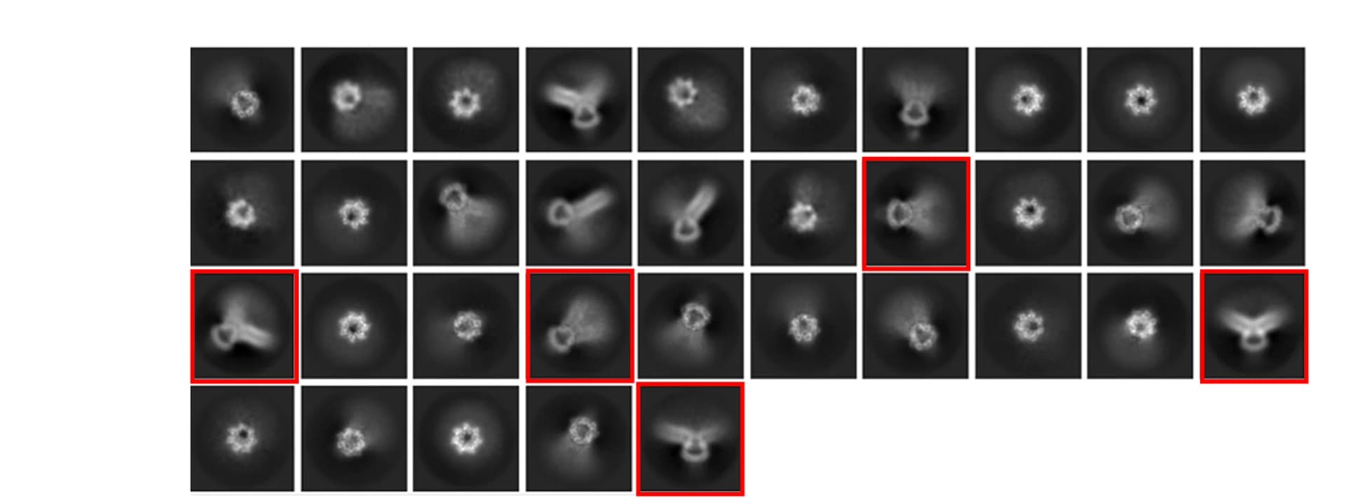Open access visualization of Microscopy, 2D Classes, TM Domain, YbiO, Curvature