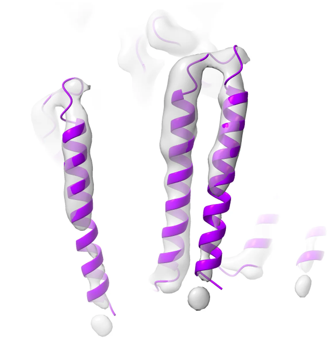 Open access visualization of Protein Structure, TM1, TM2, Loop