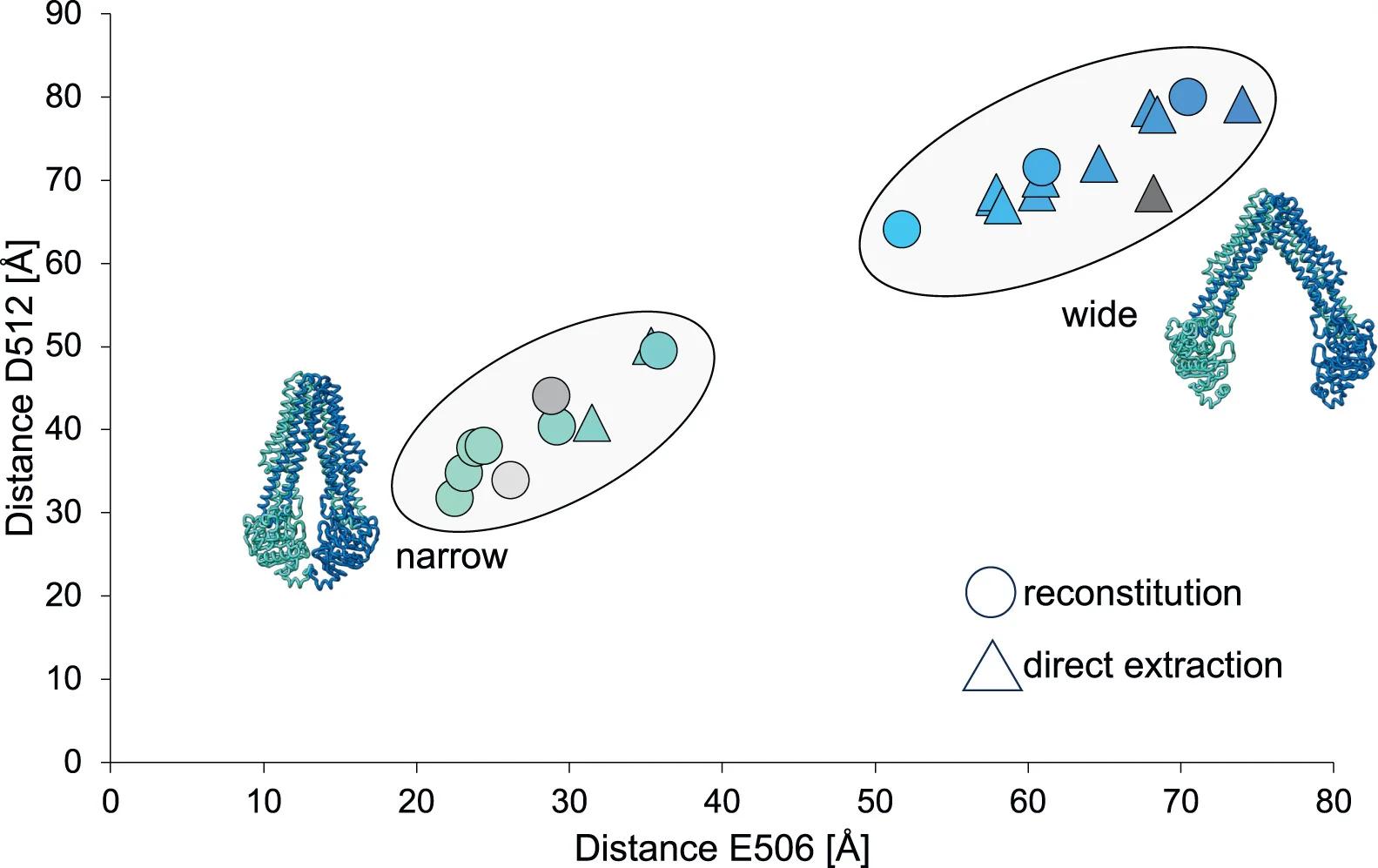Open access visualization of Scatter Plot, Protein Structure, MsbA, NBD, Protein Conformations