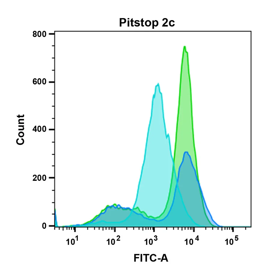 Open access visualization of Density Plot, FACS, Transferrin, HEK293T Cells, DMSO