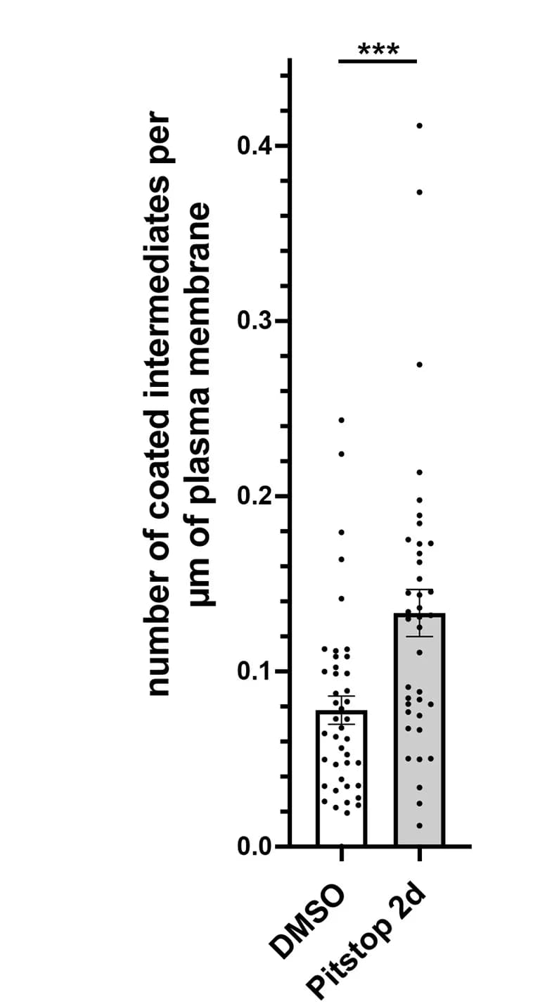 Open access visualization of Bar Plot, Error Bars, Scatter Plot, Bar Diagram, Clathrin-Coated Intermediates