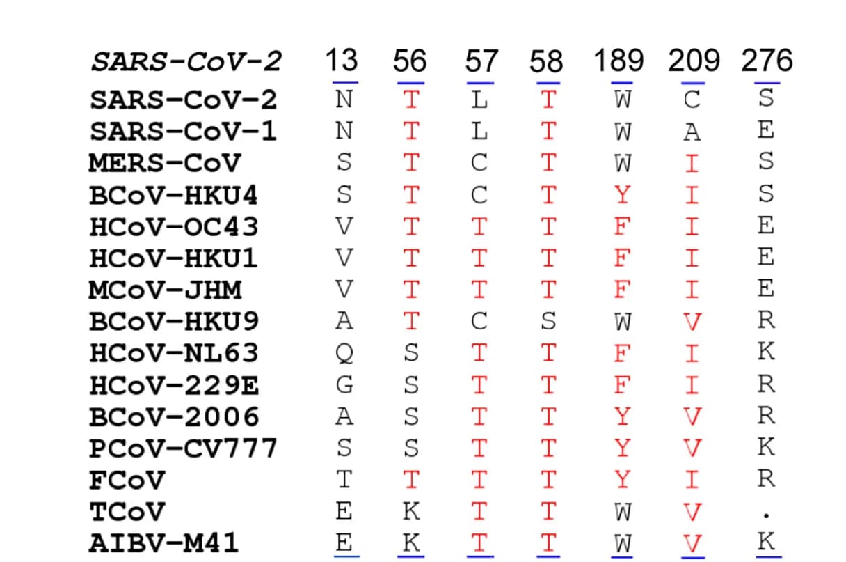 Open access visualization of Table Image, Sequence Alignment, Nsp16, Coronaviruses, Key Residues