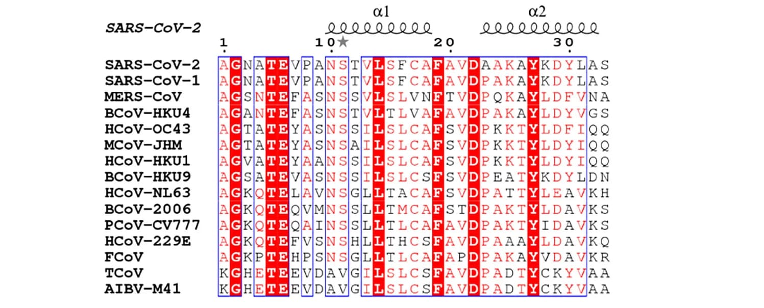Open access visualization of Illustration, Table Image, Sequence Alignment, Nsp10, CoV