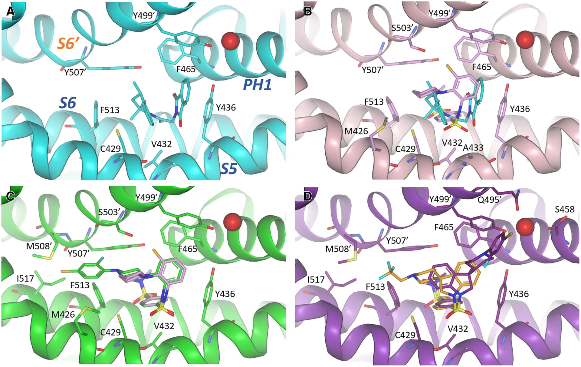 Open access visualization of Protein Structure, Chemical Structure, Ligand Binding, ML-SA11a, Helices