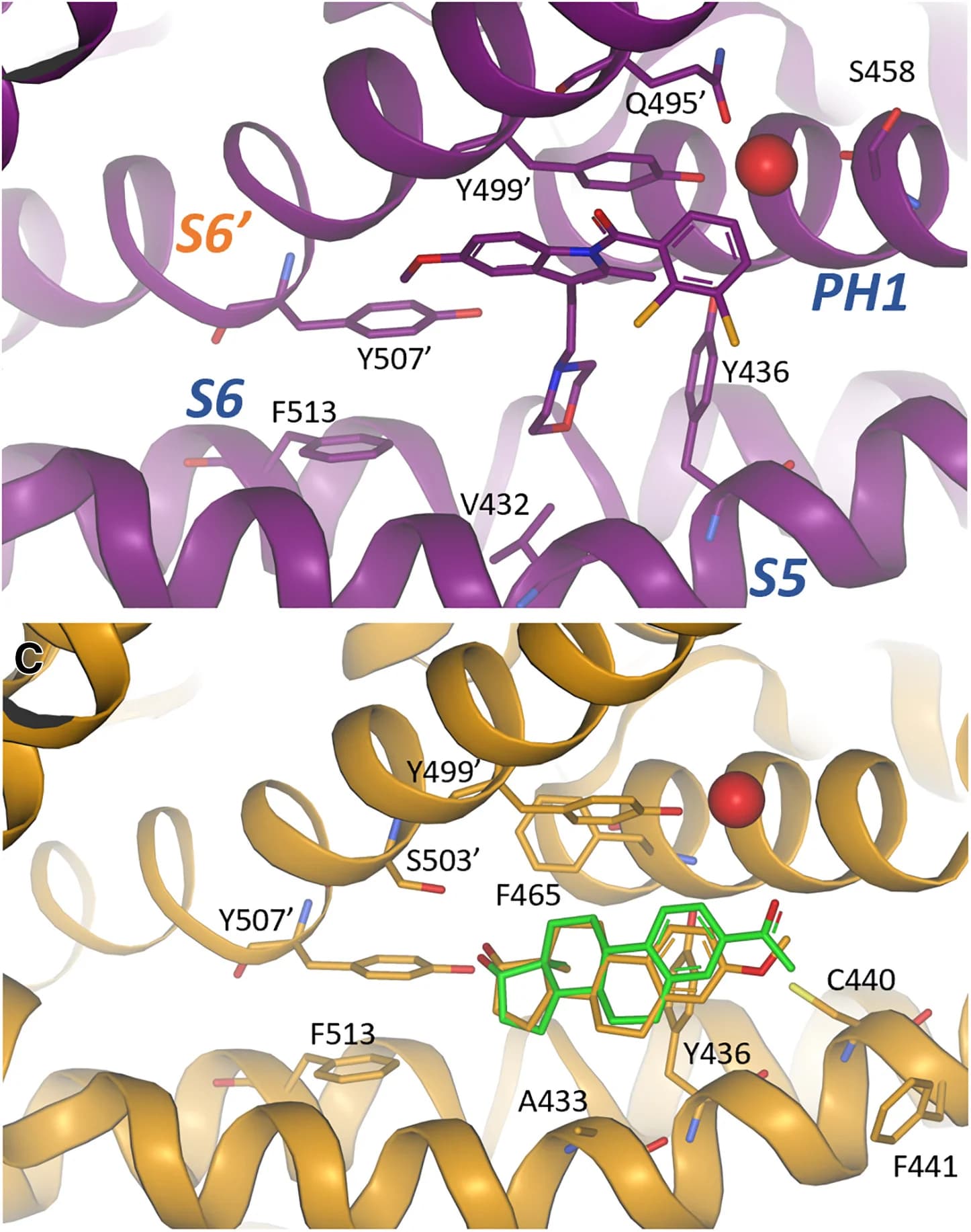 Open access visualization of Protein Structure, Chemical Structure, Ligand