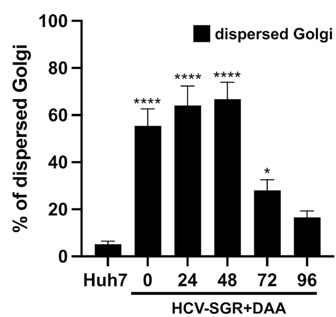 Open access visualization of Bar Plot, Error Bars, Golgi Distribution, Dispersed Golgi, Compact Golgi