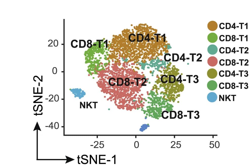 Open access visualization of Scatter Plot, UMAP, PCA, tSNE, scRNA-seq