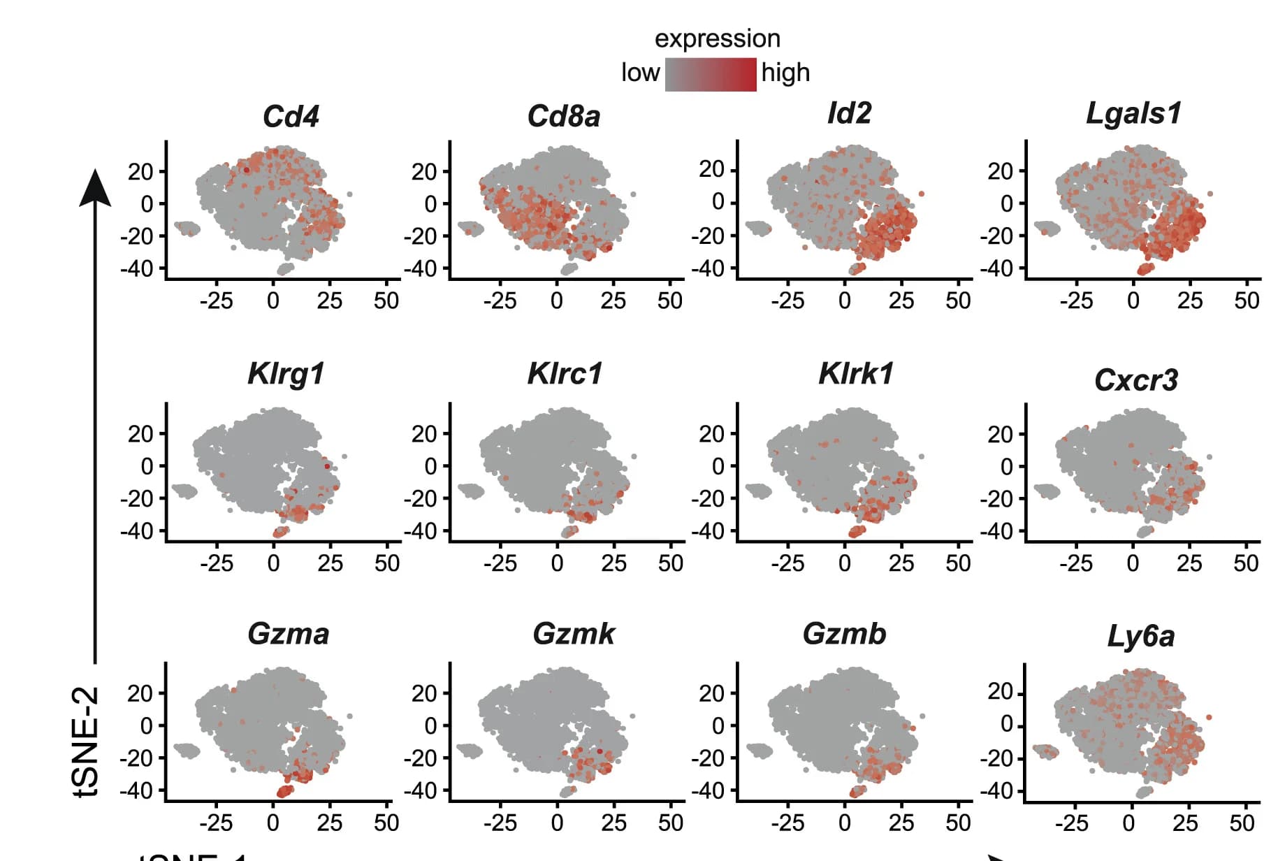 Open access visualization of Scatter Plot, UMAP, tSNE, scRNA-seq, Gene Expression