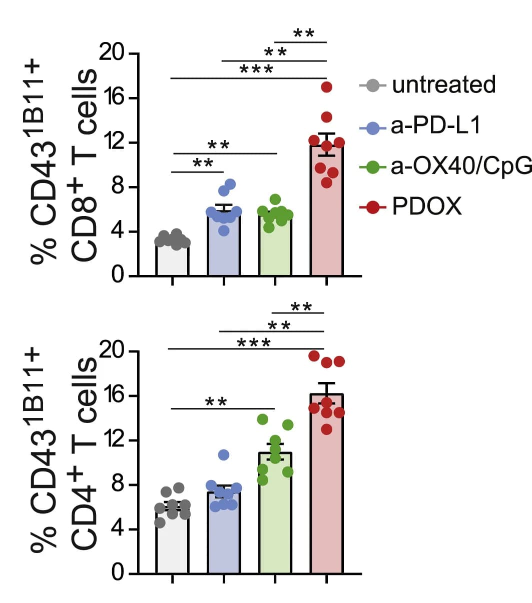 Open access visualization of Bar Plot, Error Bars, Scatter Plot, CD431B11+ Cells, CD8+ T Cells