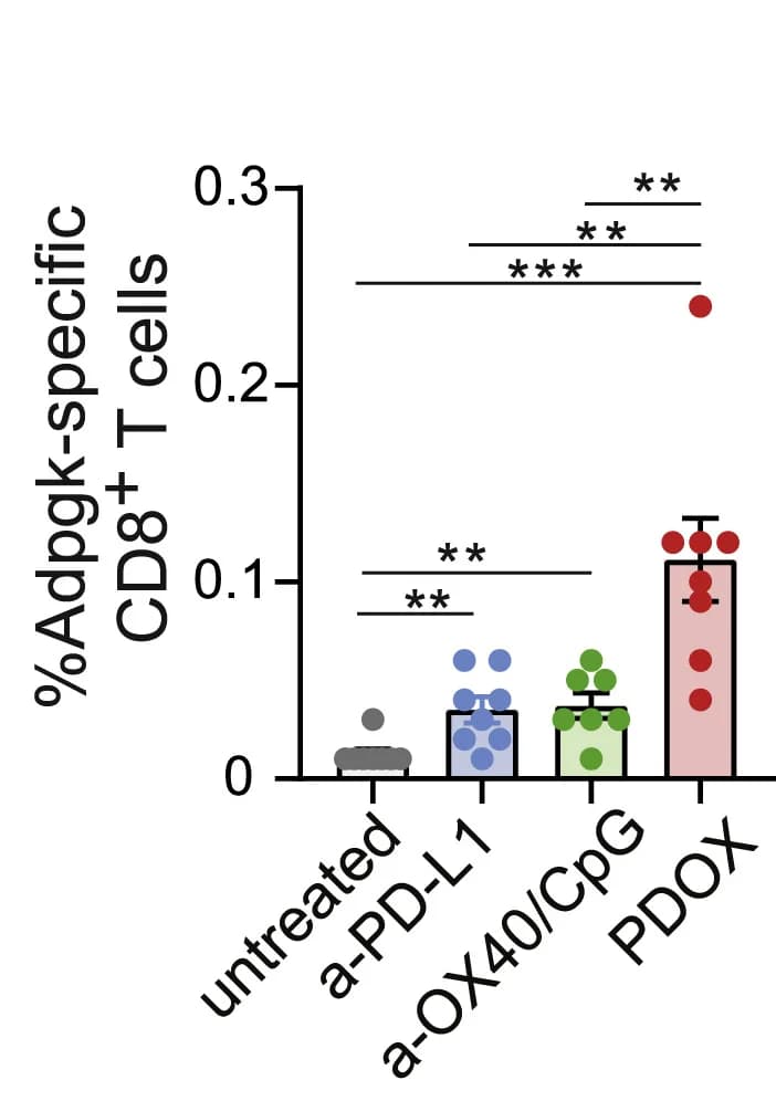 Open access visualization of Bar Plot, Error Bars, Scatter Plot, Adpgk-specific CD8+ T Cells, Blood