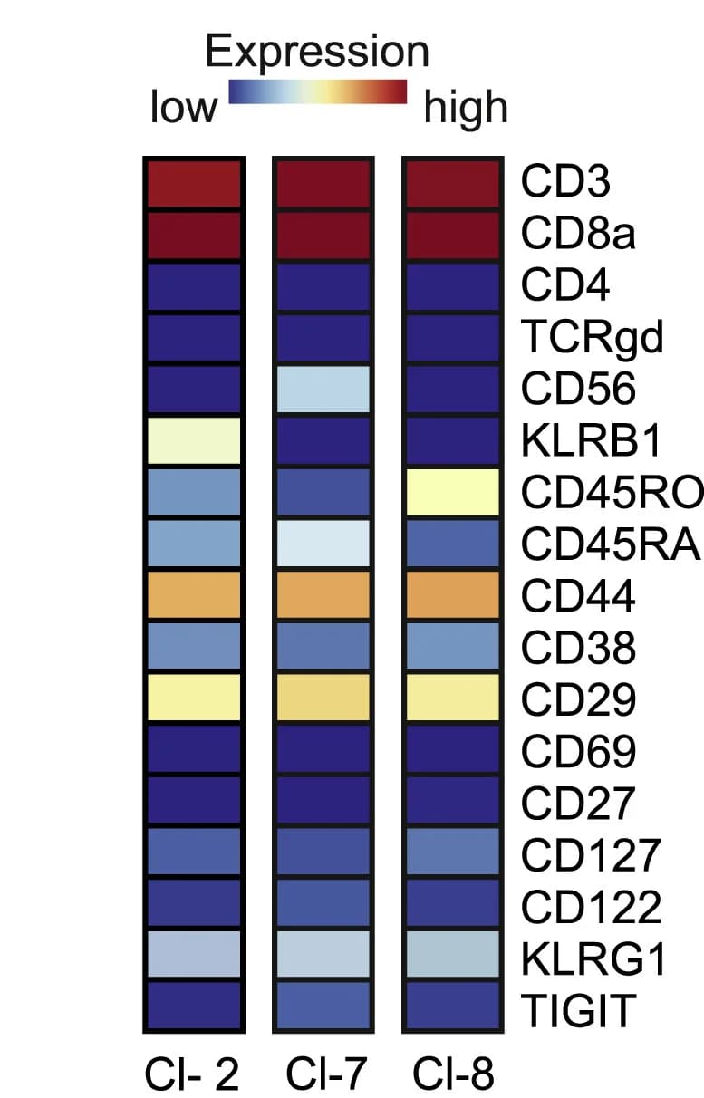 Open access visualization of Heatmap, Heatmaps, Clusters, Marker Expression, Median Expression