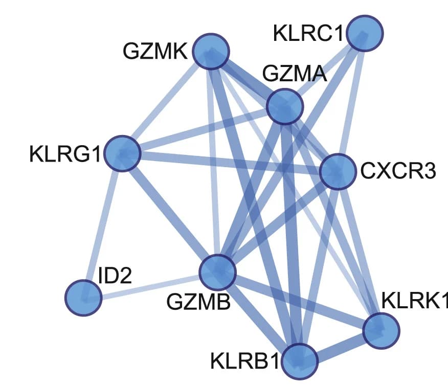 Open access visualization of Network, Pathway, Protein Network Analysis, Therapy-responsive T Cells, Protein Interaction