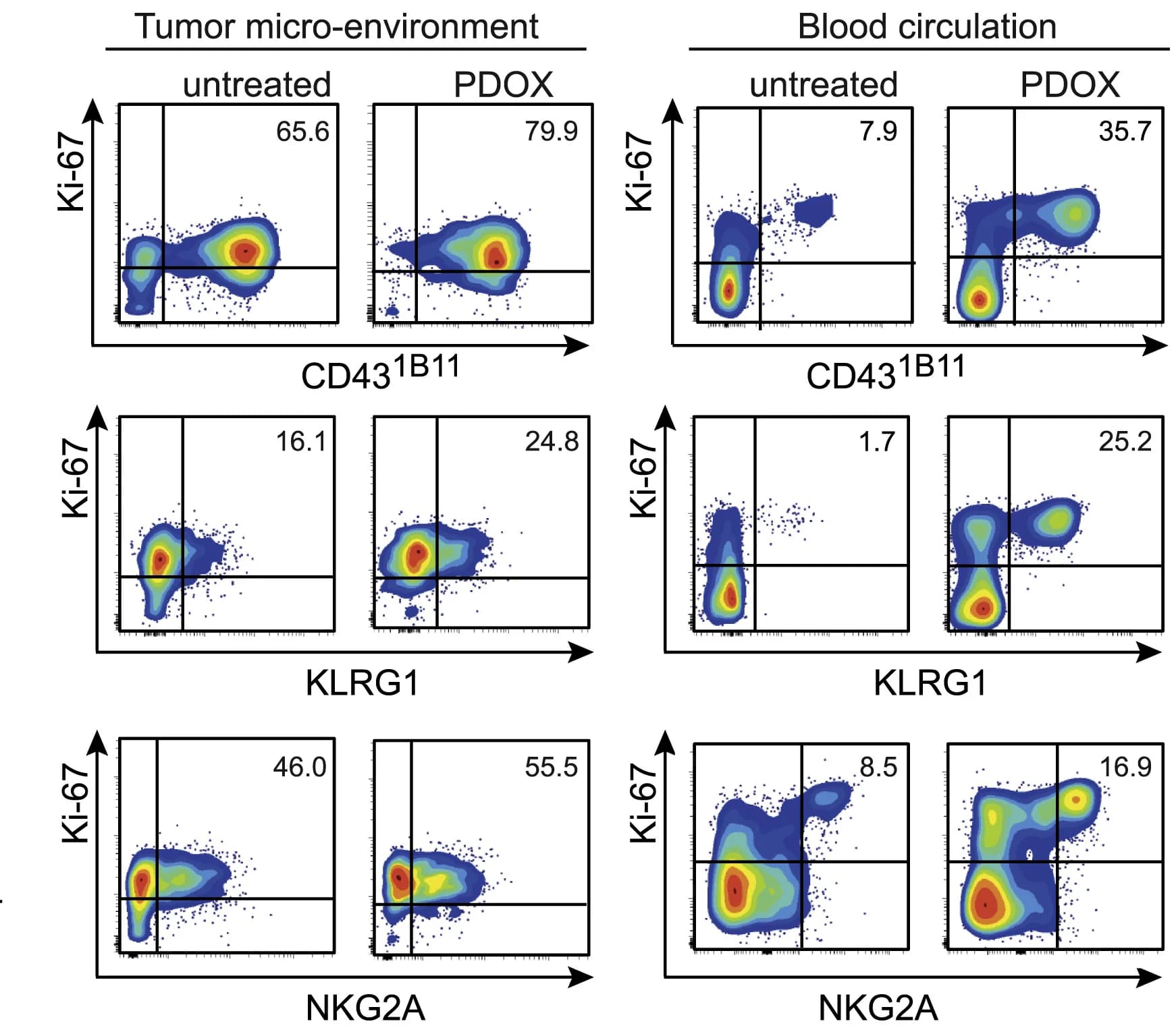 Open access visualization of Scatter Plot, Ki-67 Expression, CD431B11, KLRG1, NKG2A