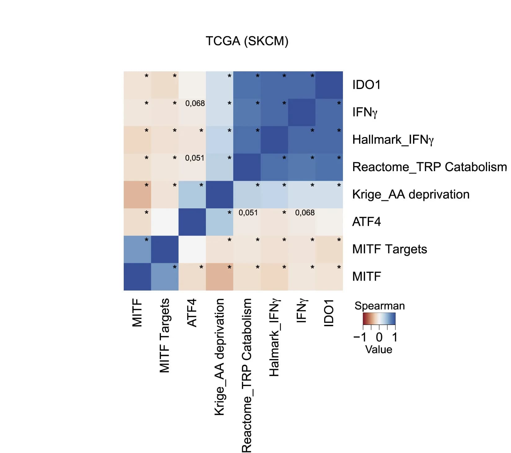 Open access visualization of Heatmap, Clustered, Spearman Correlation, IDO1, MITF