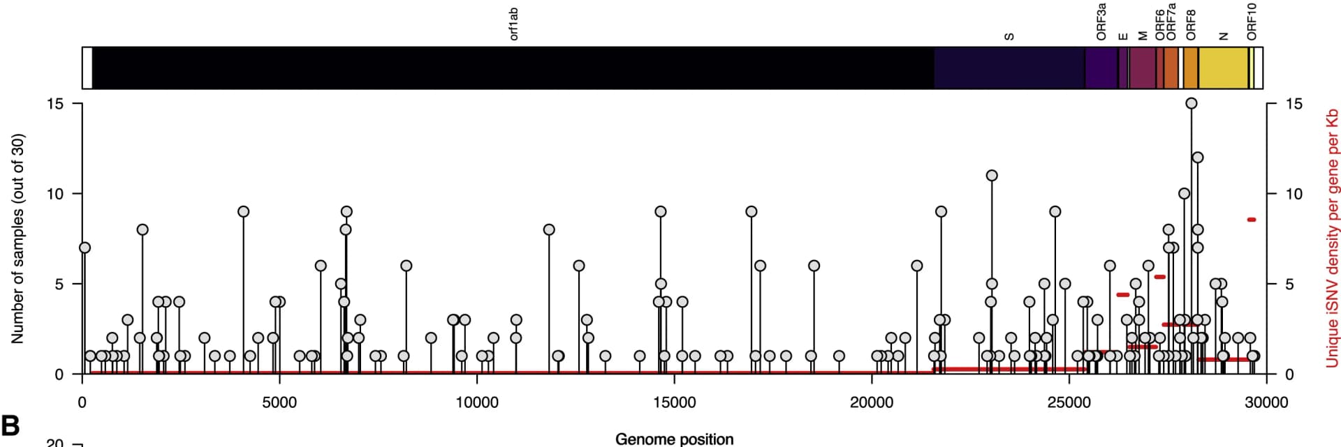 Open access visualization of Scatter Plot, Line Plot, Bar Plot, iSNV, SARS-CoV-2