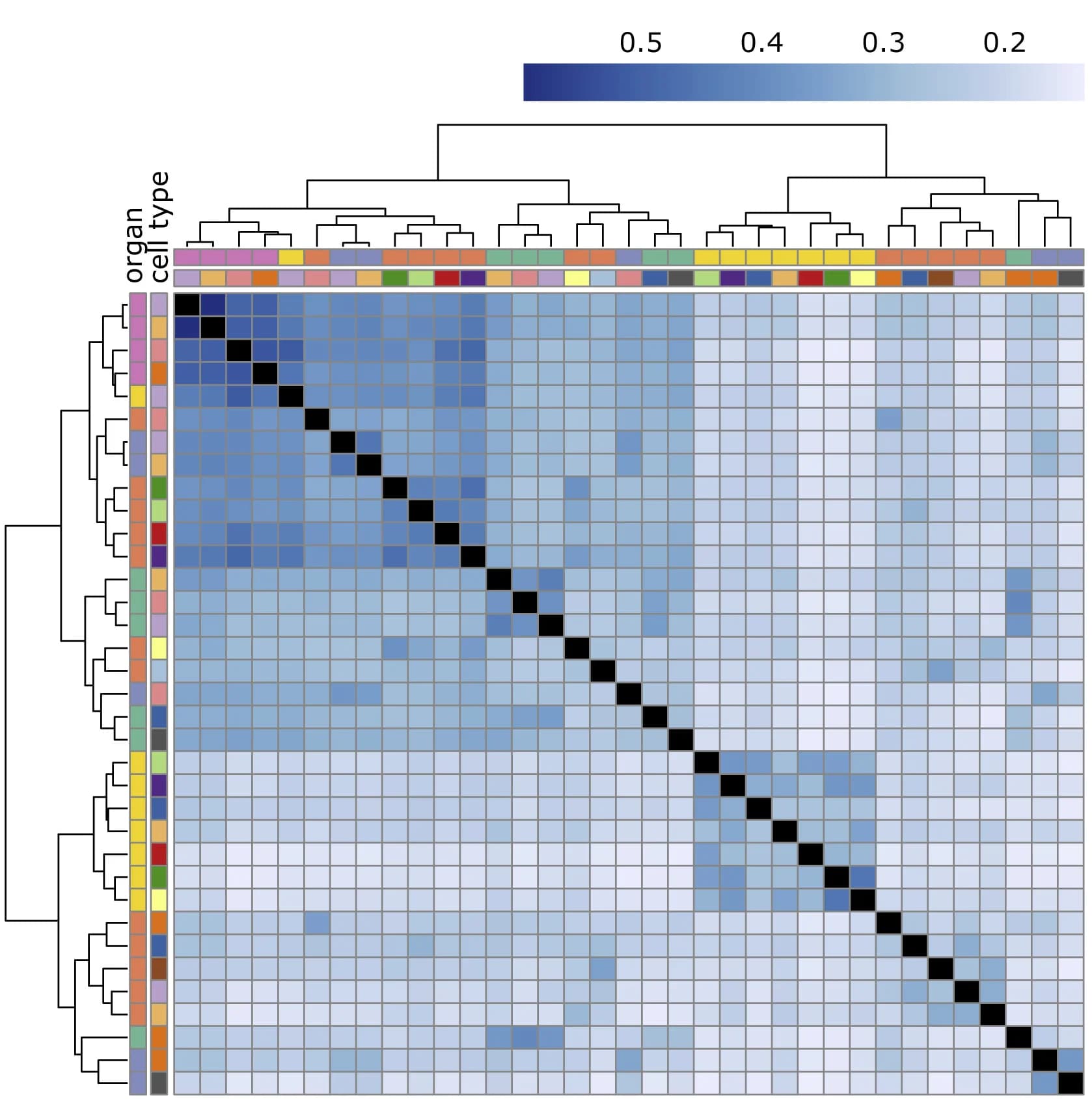 Open access visualization of Heatmap, Clustered, DEGs, Cell Types, Organ