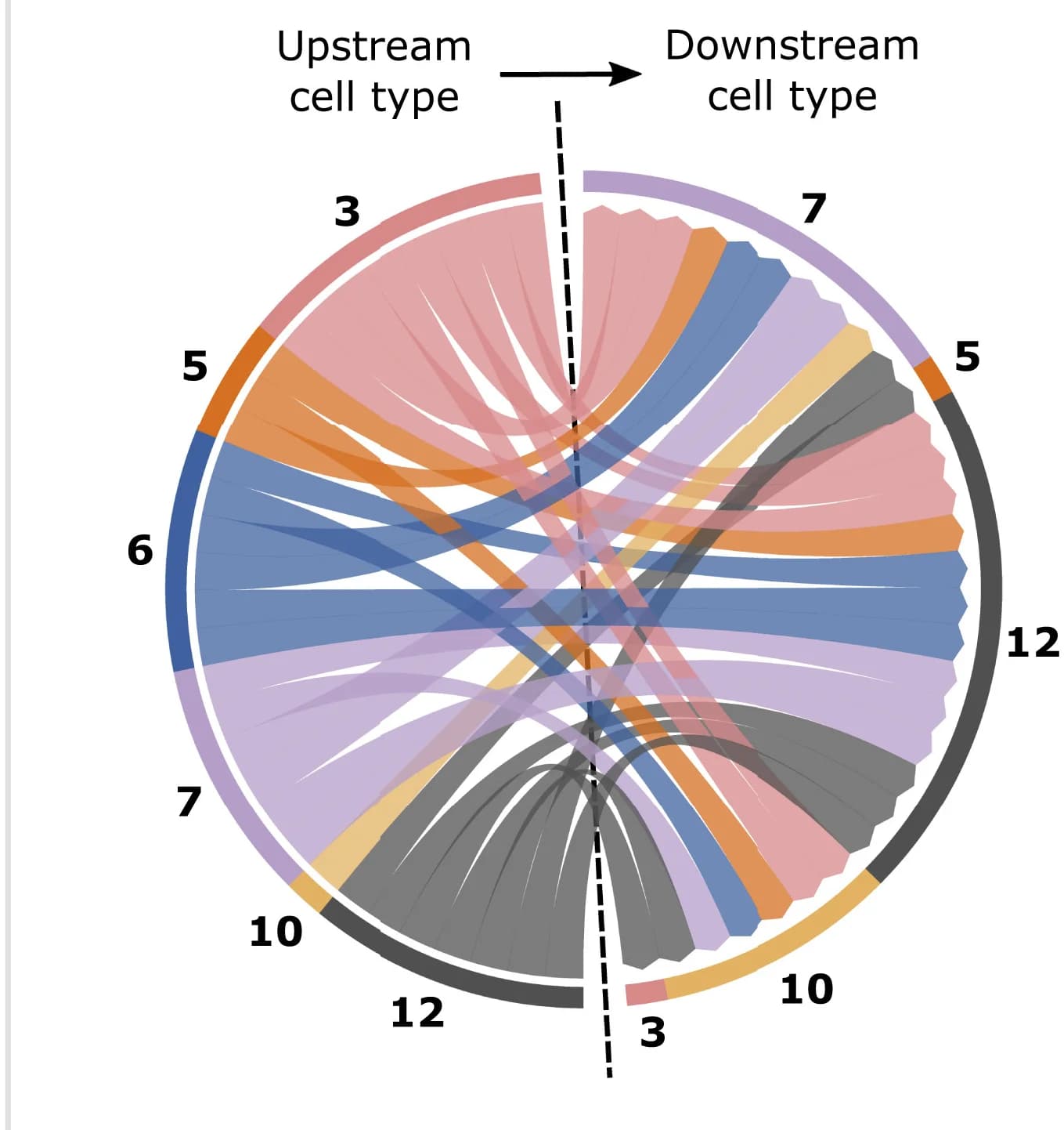 Open access visualization of Chord, Chord Chart, Molecular Interactions, Cell Types, Joint