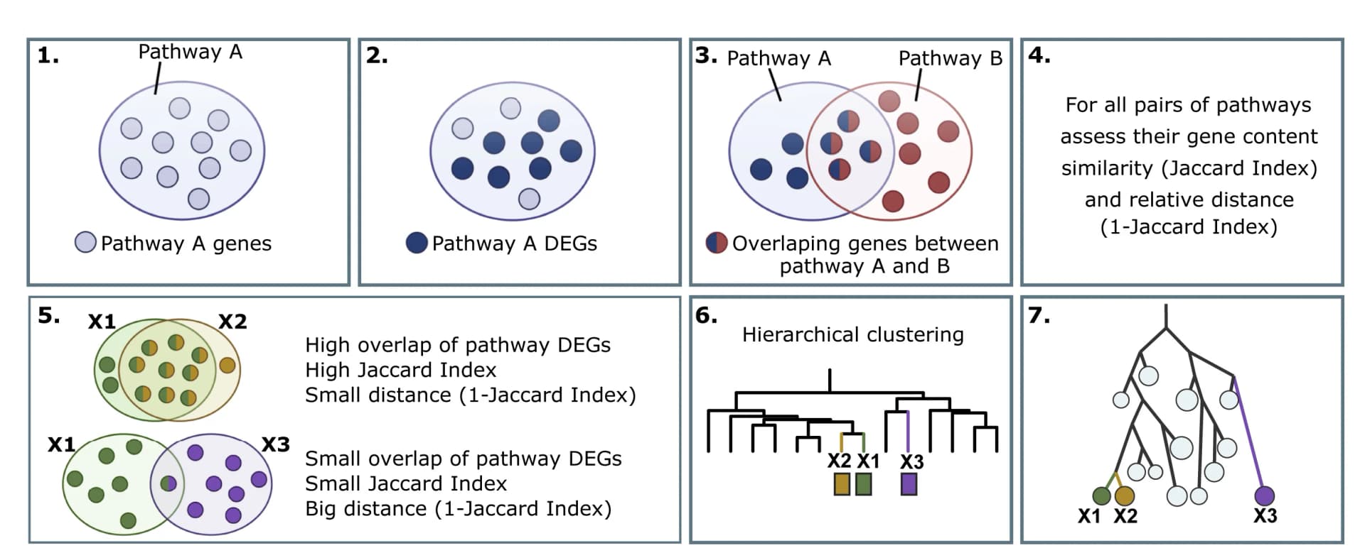 Open access visualization of Venn Diagram, Flowchart, Illustration, Connective pathway analysis, DEGs