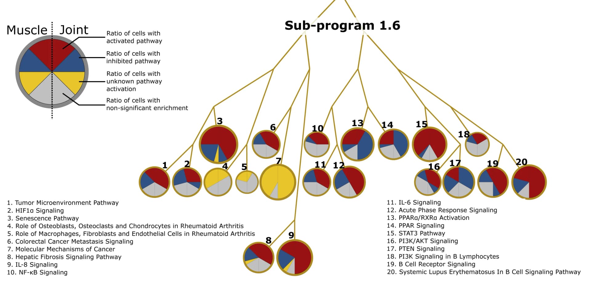 Open access visualization of Pie Chart, Sunburst, CIA_SP1.6, Pathway representation, Pie charts