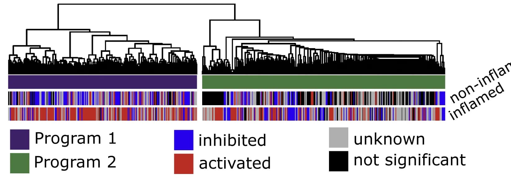 Open access visualization of Heatmap, Clustered, Hierarchical Clustering, Pathways, Inflamed Organs