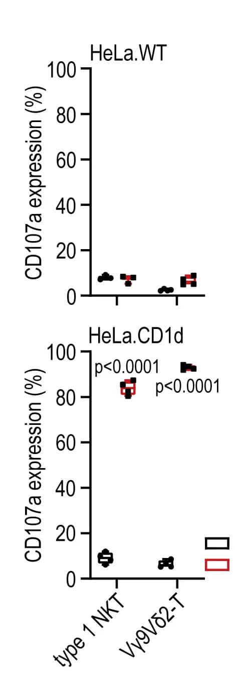 Open access visualization of Scatter Plot, CD107a expression, Type 1 NKT Cells, Vγ9Vδ2-T Cells, Co-culture