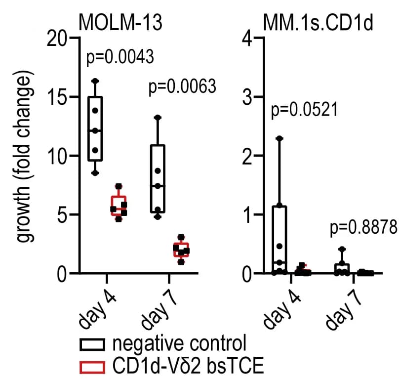 Open access visualization of Box Plot, MOLM-13 Cells, MM.1s.CD1d Cells, PBMCs, Type 1 NKT Cells