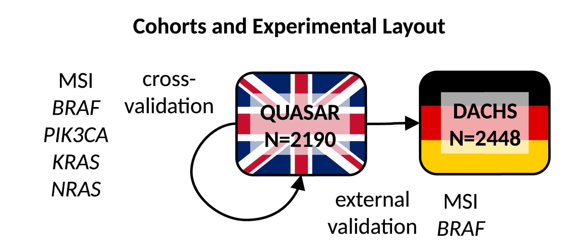Open access visualization of Workflow, Flowchart, Targets, Cohorts, Internal Validation