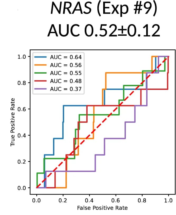Open access visualization of Line Step, Biomarkers, Wang-attMIL model, AUROCs