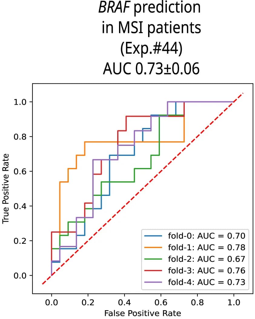 Open access visualization of Line Step, BRAF Mutation, MSI, ROC Curves