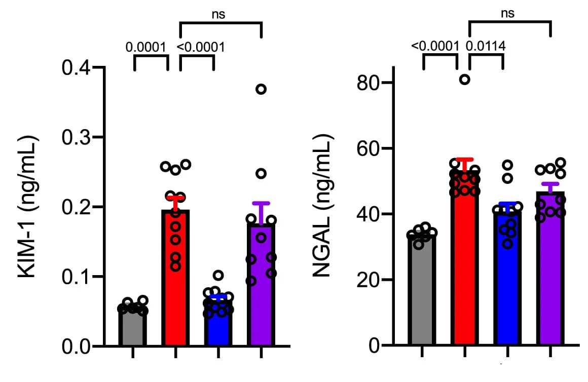 Open access visualization of Bar Plot, Error Bars, Scatter Plot, Serum Cholesterol, Glucose