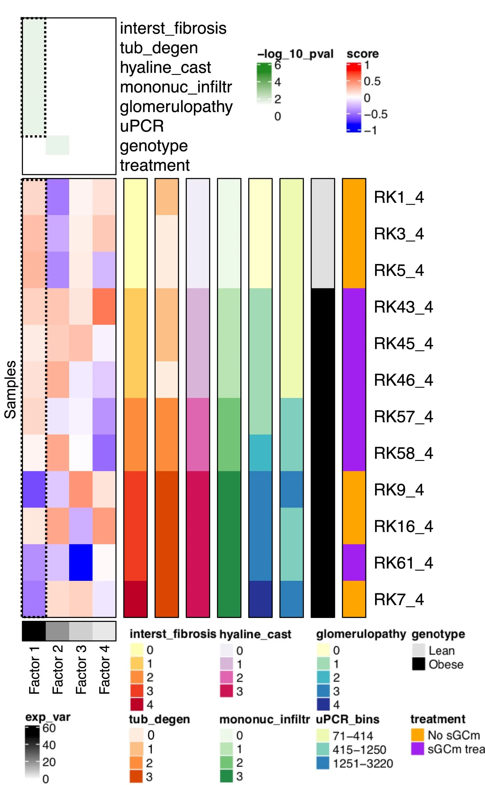 Open access visualization of Stacked Bar Plot, Heatmap, Tensor Decomposition Analysis, Rat Kidney, Factor Loading Score