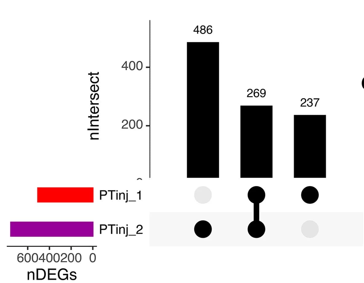 Open access visualization of Bar Plot, Upset Plot, Differentially Expressed Genes, Injured Proximal Tubule