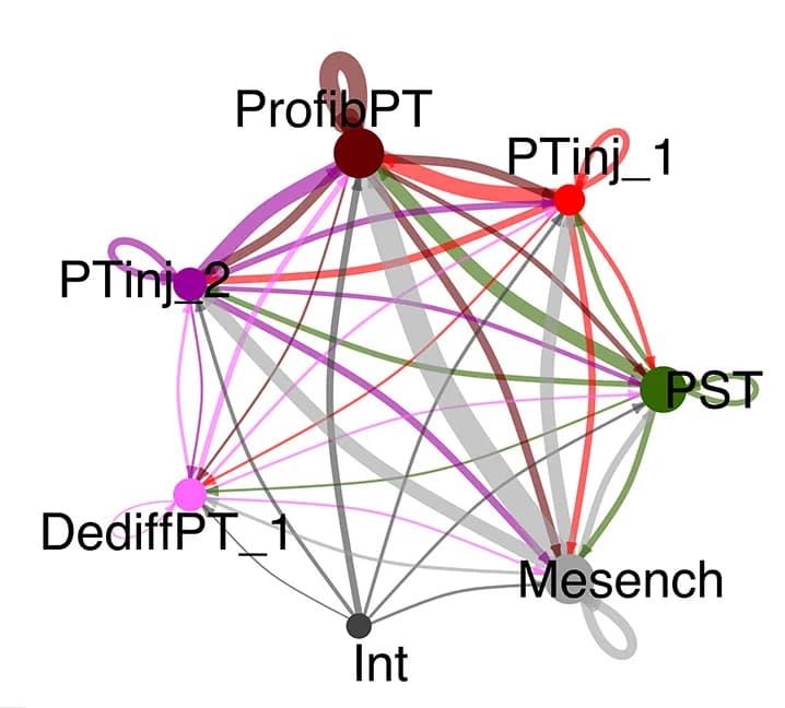 Open access visualization of Network, Pathway, Chord, Interaction strength, Cell clusters