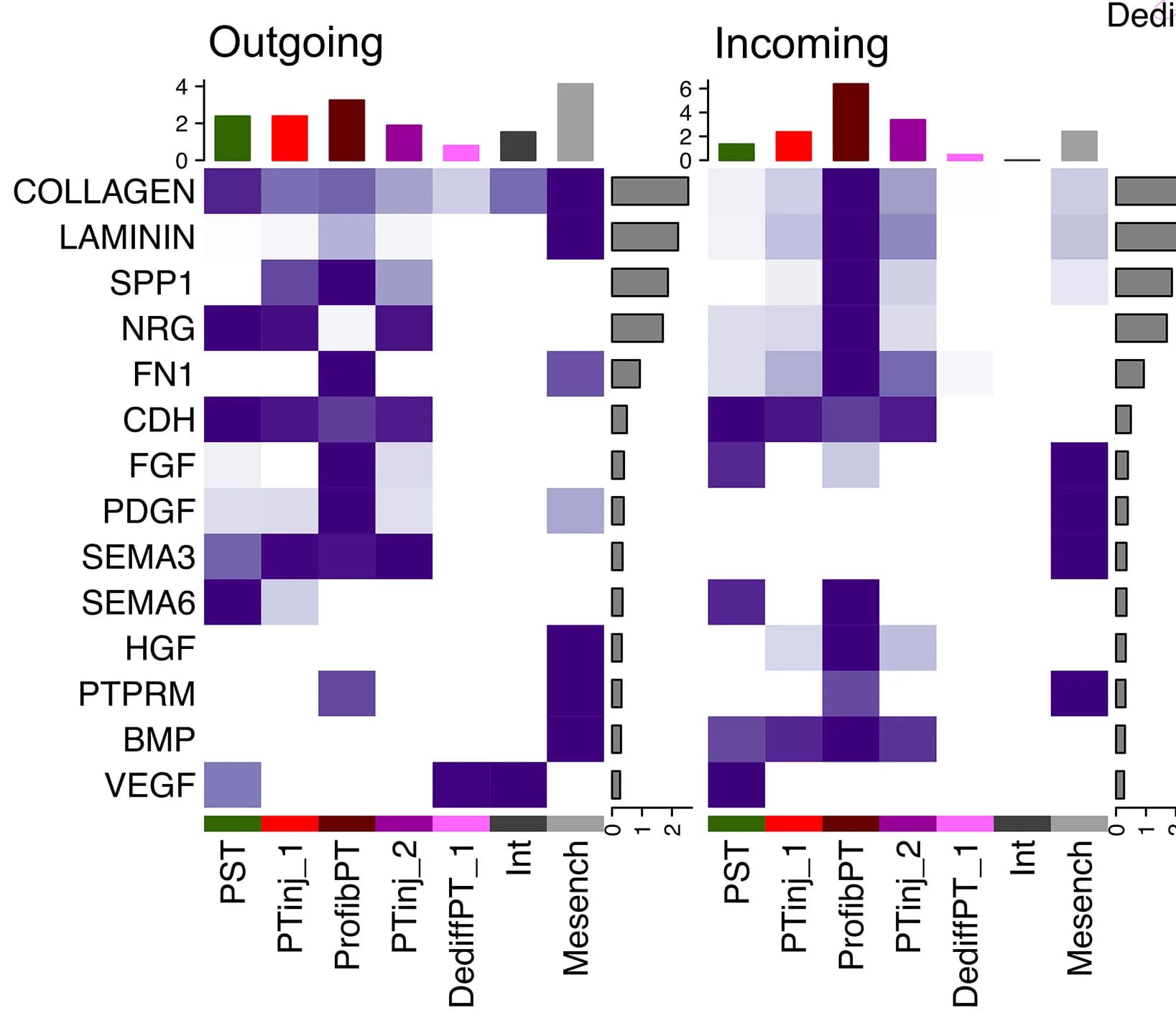Open access visualization of Heatmap, Bar Plot, Signaling pathways, Interaction signaling, Cell clusters