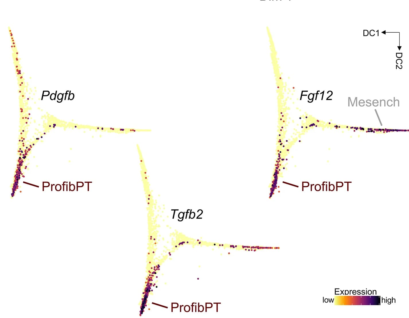 Open access visualization of Scatter Plot, UMAP, Feature plots, Secreted ECM factors, Gene expression