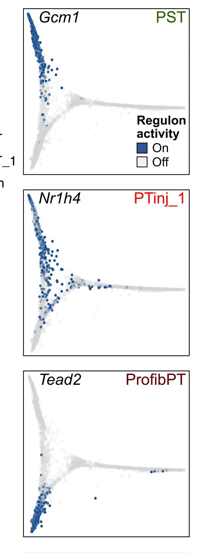 Open access visualization of Scatter Plot, Binarized Regulon Activity, Cluster-Specific Transcription Factors, Diffusion Map Space