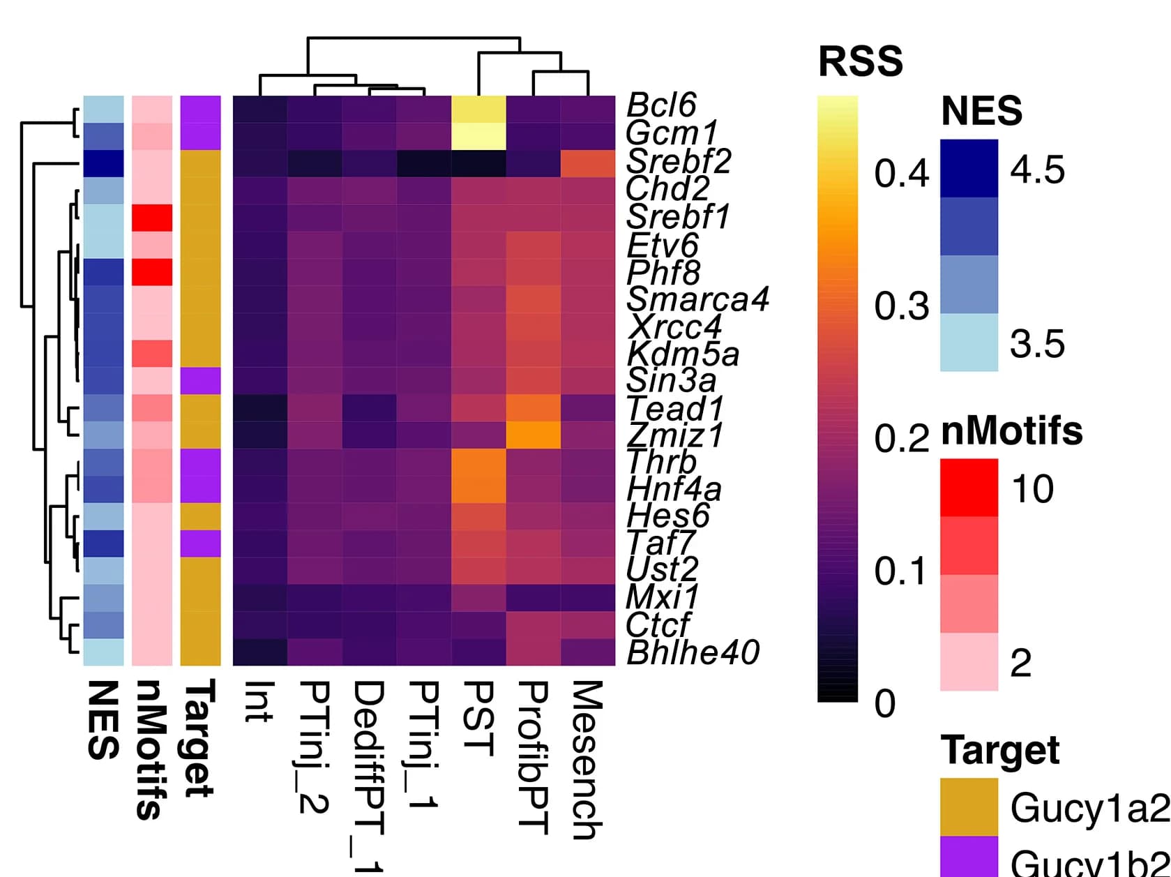 Open access visualization of Heatmap, Clustered, Bar Plot, Regulons, Cell Clusters