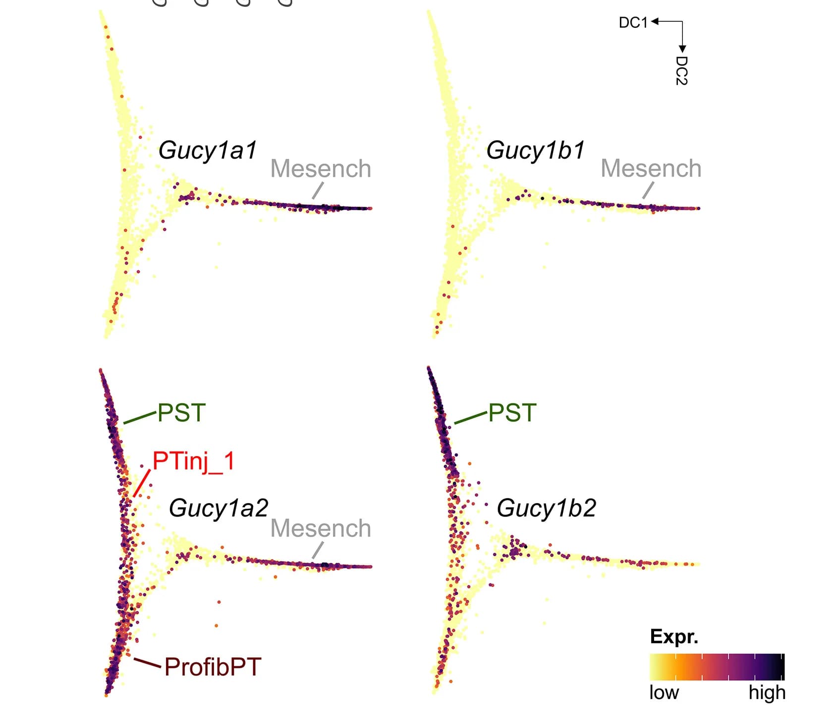Open access visualization of Scatter Plot, UMAP, PCA, Feature Plots, sGC Genes